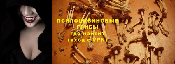 прущий лед Арсеньев